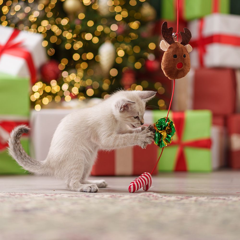 RURRI Игрушка для кошек Дразнилка с игрушками, длина палки 41 см, размер игрушки 41x50 см RURRI Игрушка для кошек Дразнилка с игрушками, длина палки 41 см, размер игрушки 41x50 см