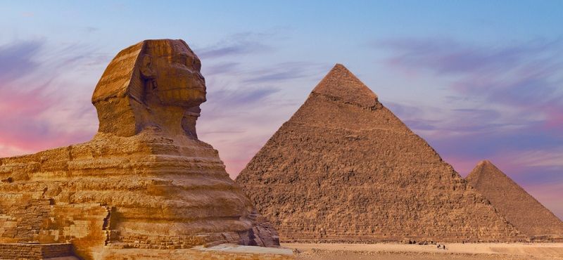 Как ухаживать за сфинксом