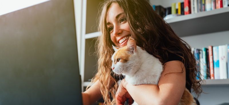 Pet-friendly офис