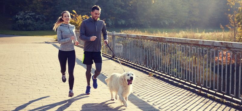 Как правильно бегать с собакой