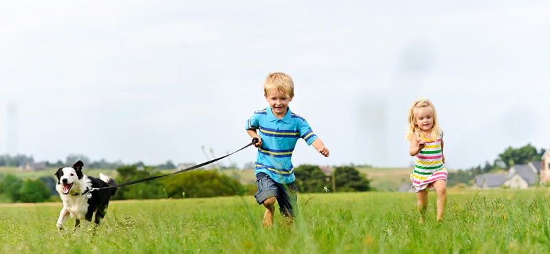 Завели щенка? Подборка необходимых товаров для нового члена семьи!