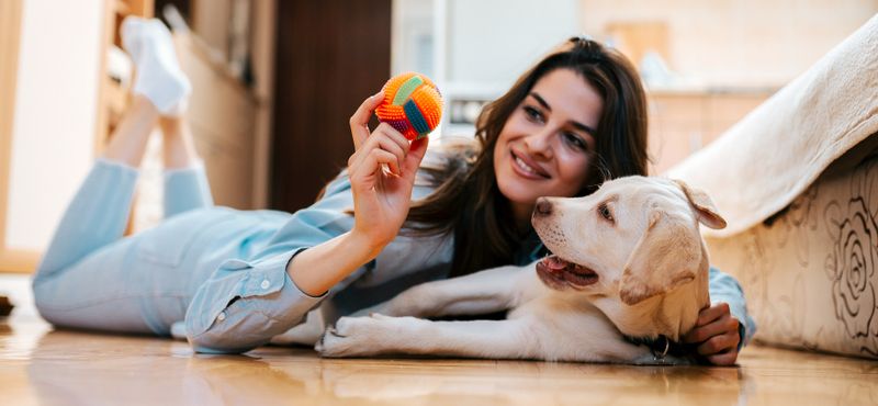 Идеи совместных игр с питомцем Идеи совместных игр с питомцем