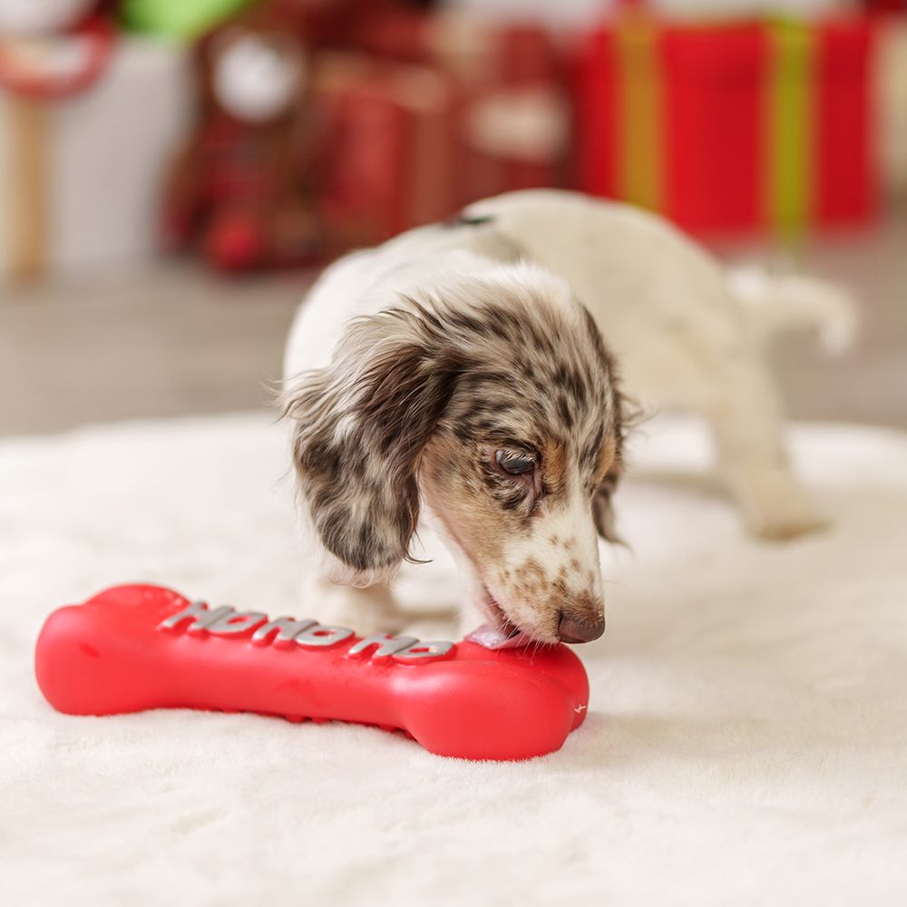 RURRI Игрушка для собак Кость, 22 см RURRI Игрушка для собак Кость, 22 см