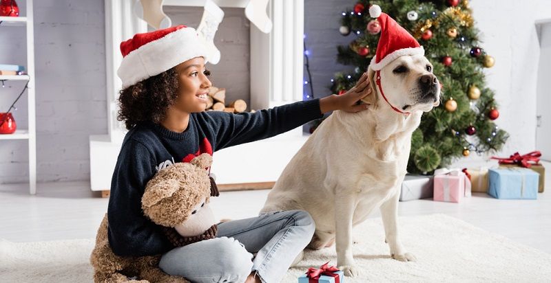 Подарки для любимых питомцев!