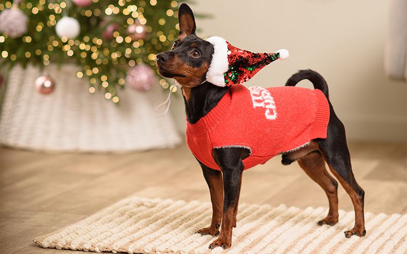 Одежда и аксессуары для новогодних фотосессий