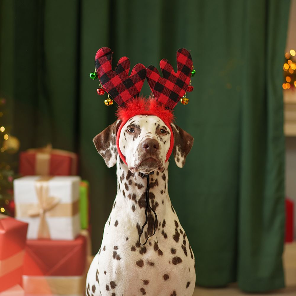 Petmax Ободок безразмерный для собак Рога оленьи