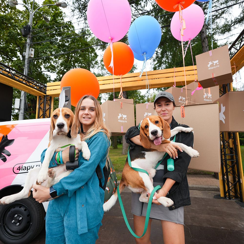 Итоги Четыре Лапы Феста – главного события года