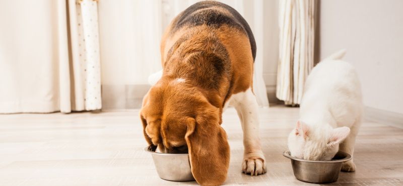 Функциональные преимущества линейки Ownat ULTRA 