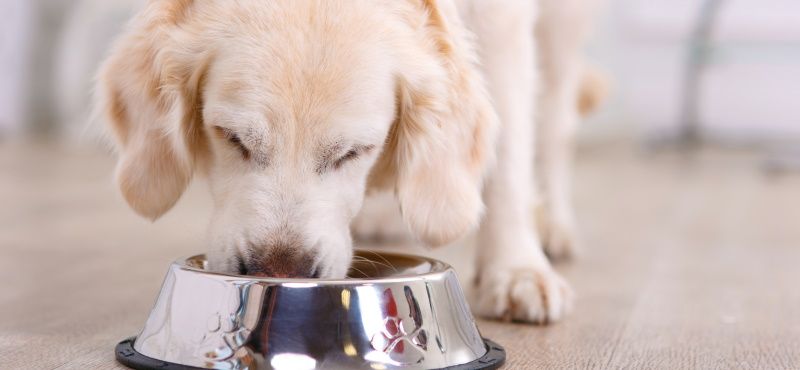 Преимущества линейки Ownat Classic