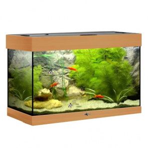 РИФ 80 (бук) без свет-ка с покр.крышками стPilkington Optifloat™(пол.еврок)4-6мм 82л 71*33*46см (шт.)