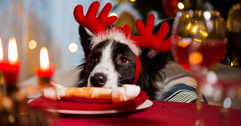 Осторожно, Новый год!