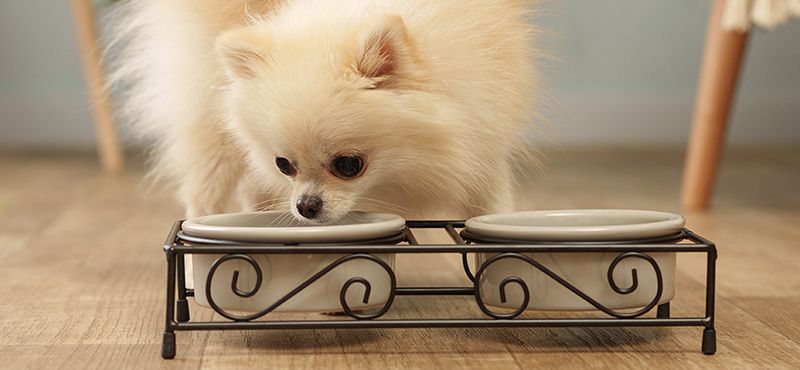 Ownat Author: линейка кормов из свежего мяса