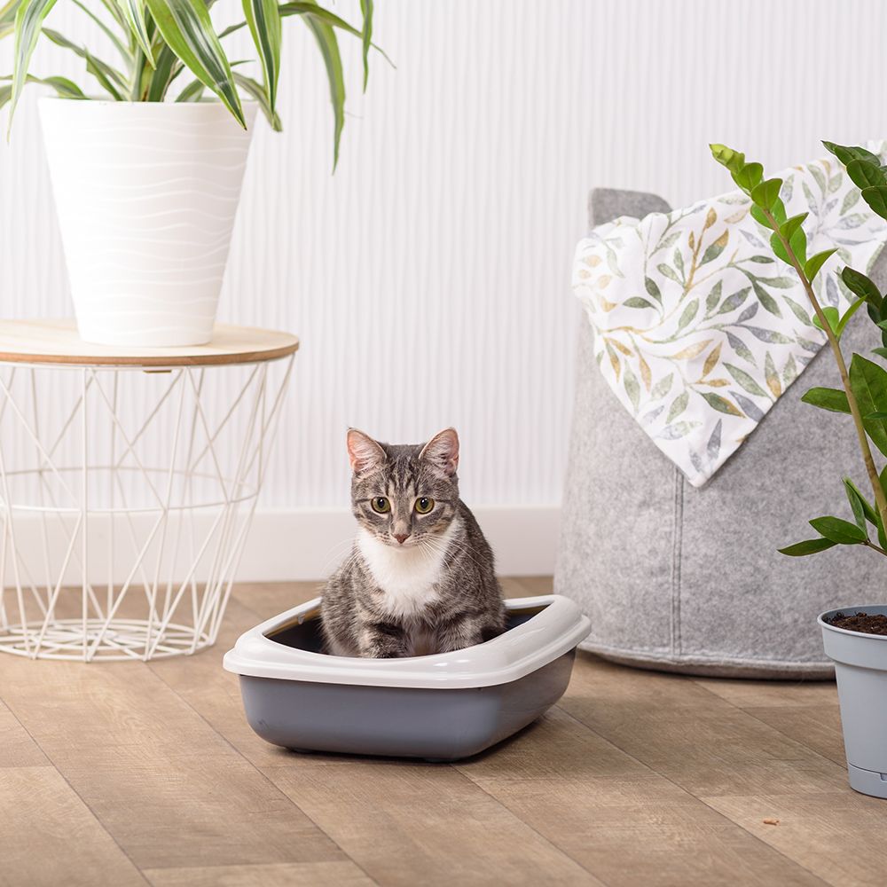 Georplast Туалет с бортиком для кошек, 38х28х10,5 см, сиреневый