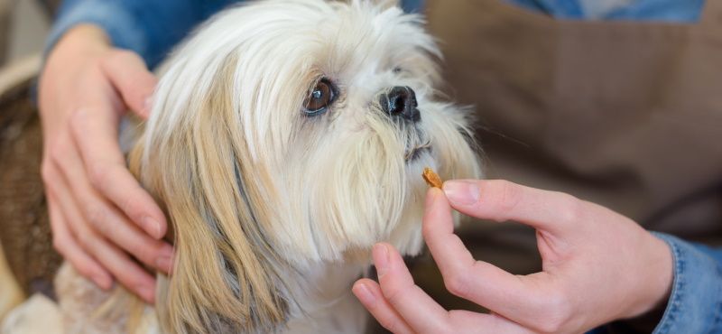 Витаминные комплексы для собак