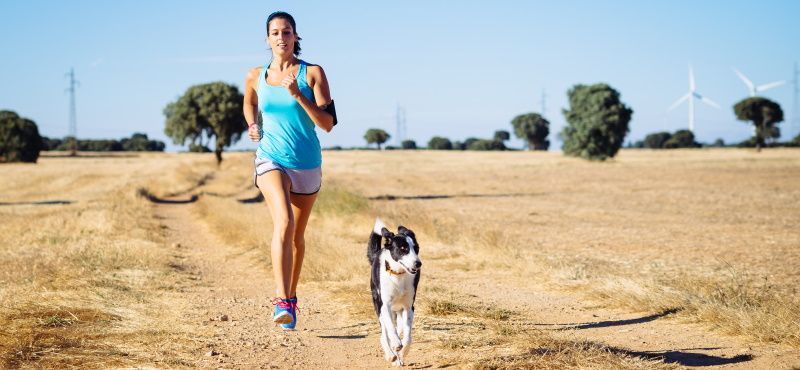Как правильно бегать с собакой
