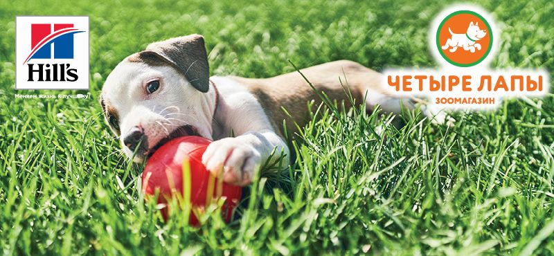 Витамины и пищевые добавки. Как они работают?