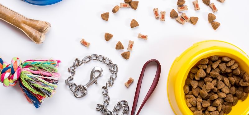 Как выбрать сумку-переноску для собаки?