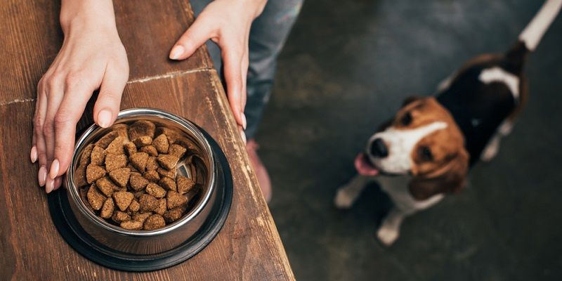 Как перевести питомца с одного корма на другой?