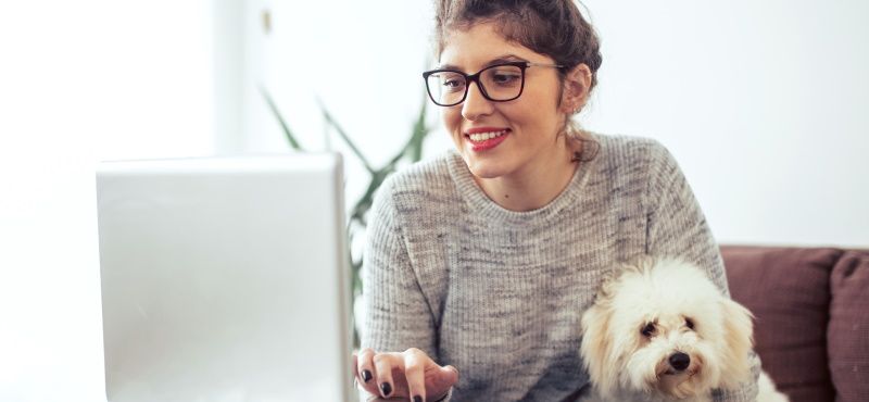 Как работать из дома с домашними животными