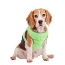 Шлейка зеленая со светоотражающей лентой M