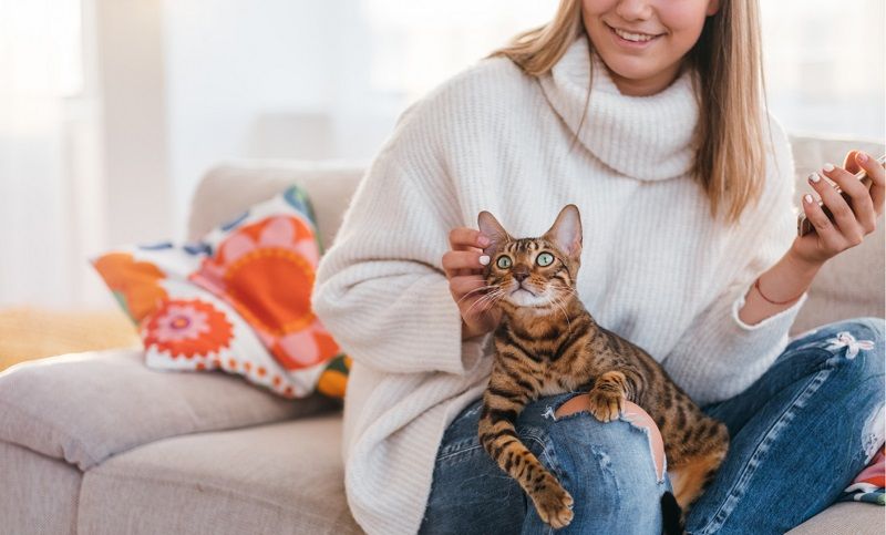 Какая порода кошек подходит Вам по знаку зодиака?