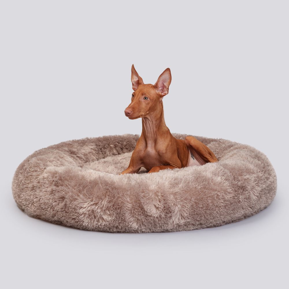 RURRI Лежак круглый мех для кошек и собак мелких и средних пород, 85х85х16 см, светло-коричневый RURRI Лежак круглый мех для кошек и собак мелких и средних пород, 85х85х16 см, светло-коричневый