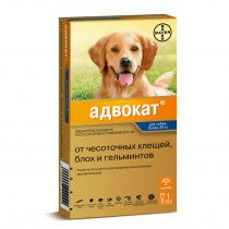 Адвокат капли на холку для собак весом более 25 кг от чесоточных клещей, блох и гельминтов, 1 пипетка Адвокат капли на холку для собак весом более 25 кг от чесоточных клещей, блох и гельминтов, 1 пипетка