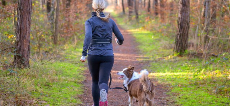 Как правильно бегать с собакой
