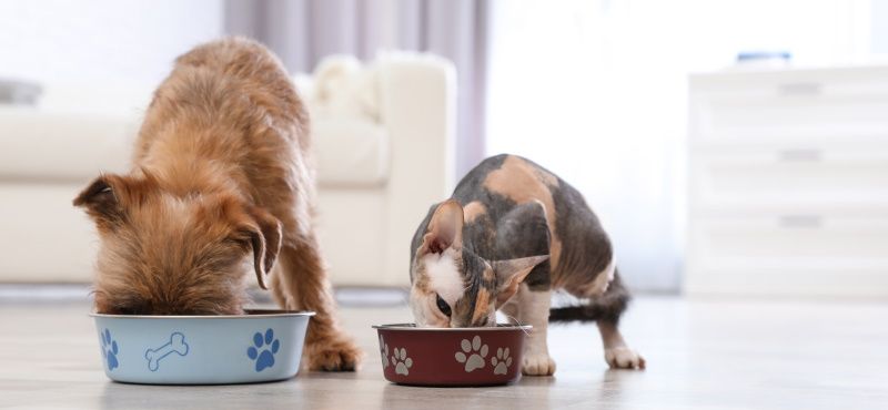 Функциональные преимущества линейки Ownat ULTRA 