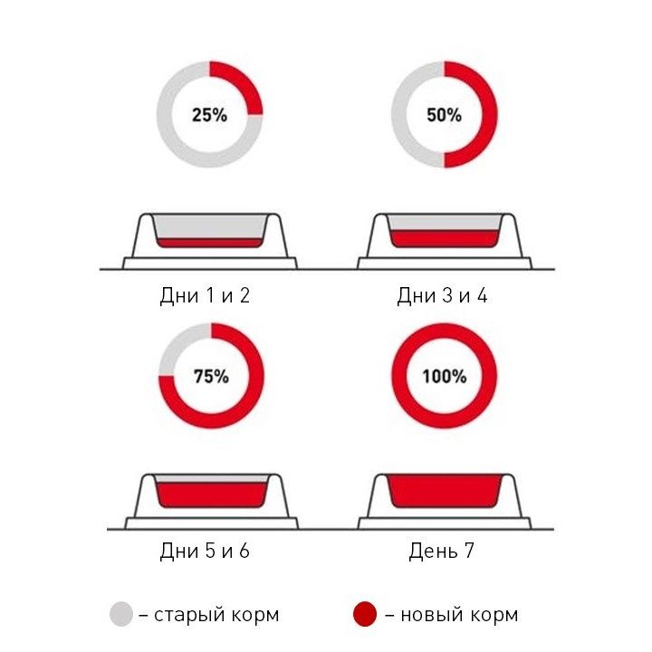 Влажные корма и смешанное питание