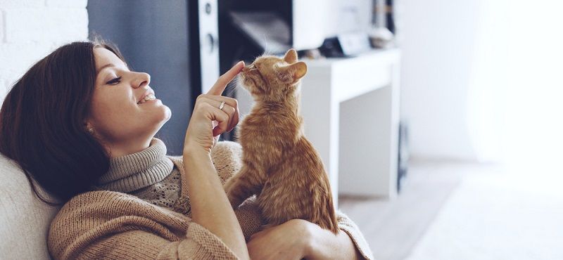 Можно ли кормить кошку рыбой?