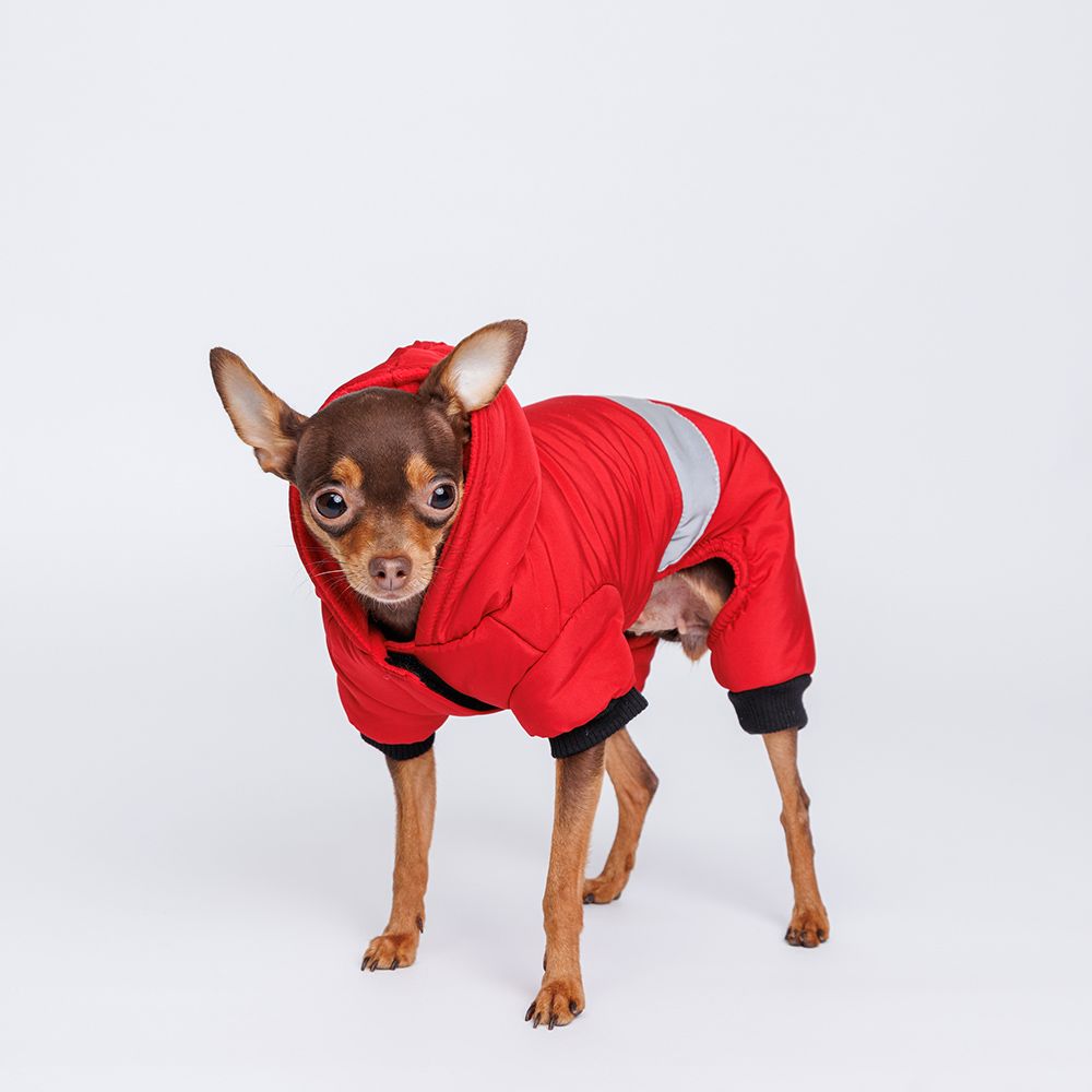RURRI Комбинезон для собак, S, красный
