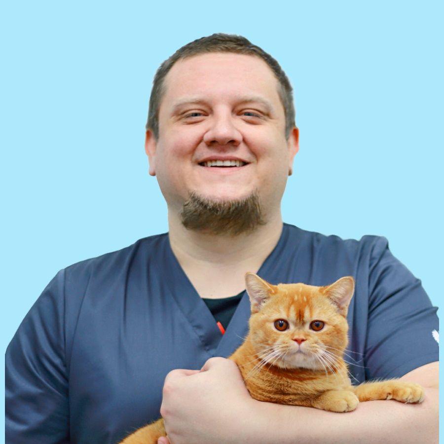 Главный ветеринарный врач Володин Евгений