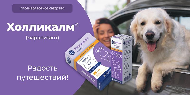 Возвращение домой с дачи и из отпуска