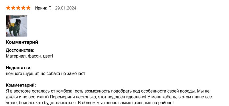 Одежда для собак породы джек-рассел
