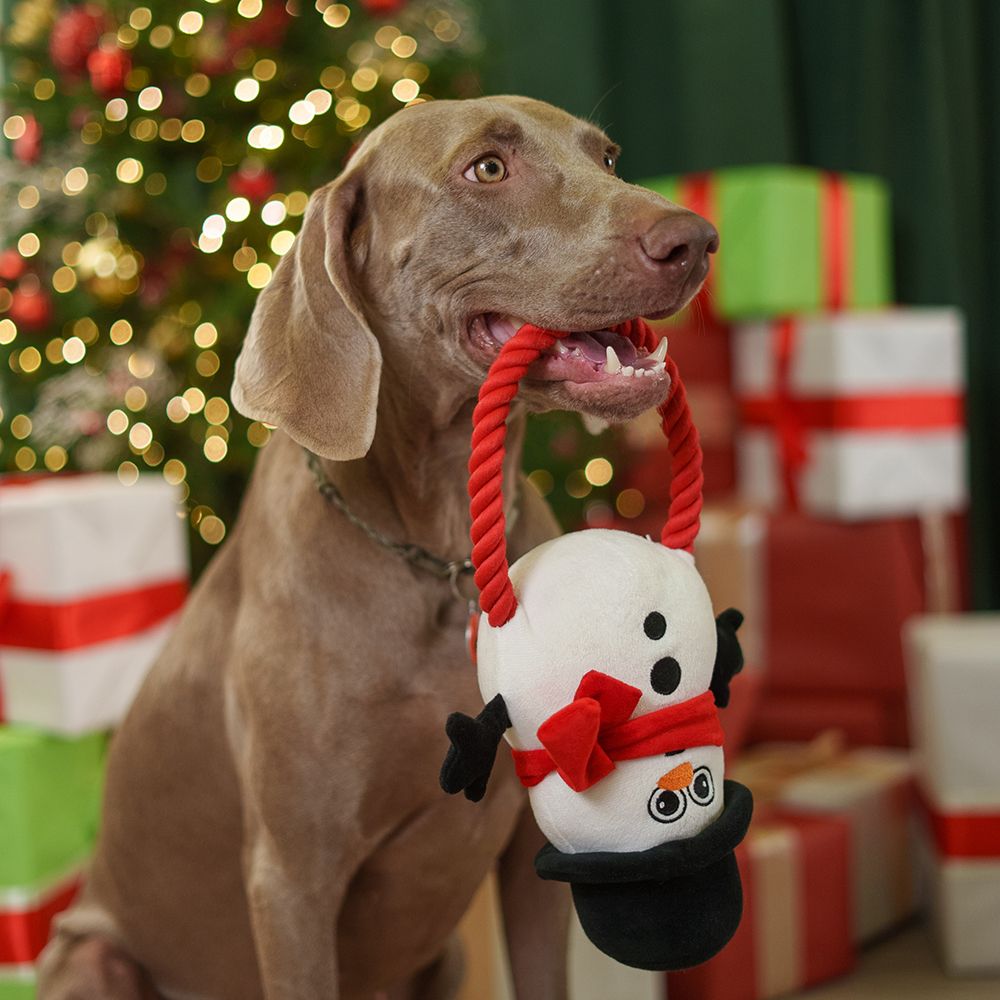 RURRI Игрушка для собак Снеговик в шляпе, 35х20х11 см