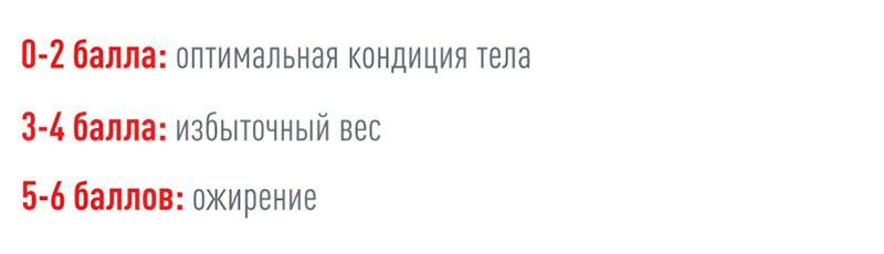 Как бороться с лишним весом у кошек и собак