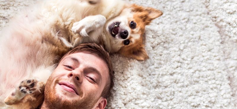 Игры с кошкой и собакой дома и на улице