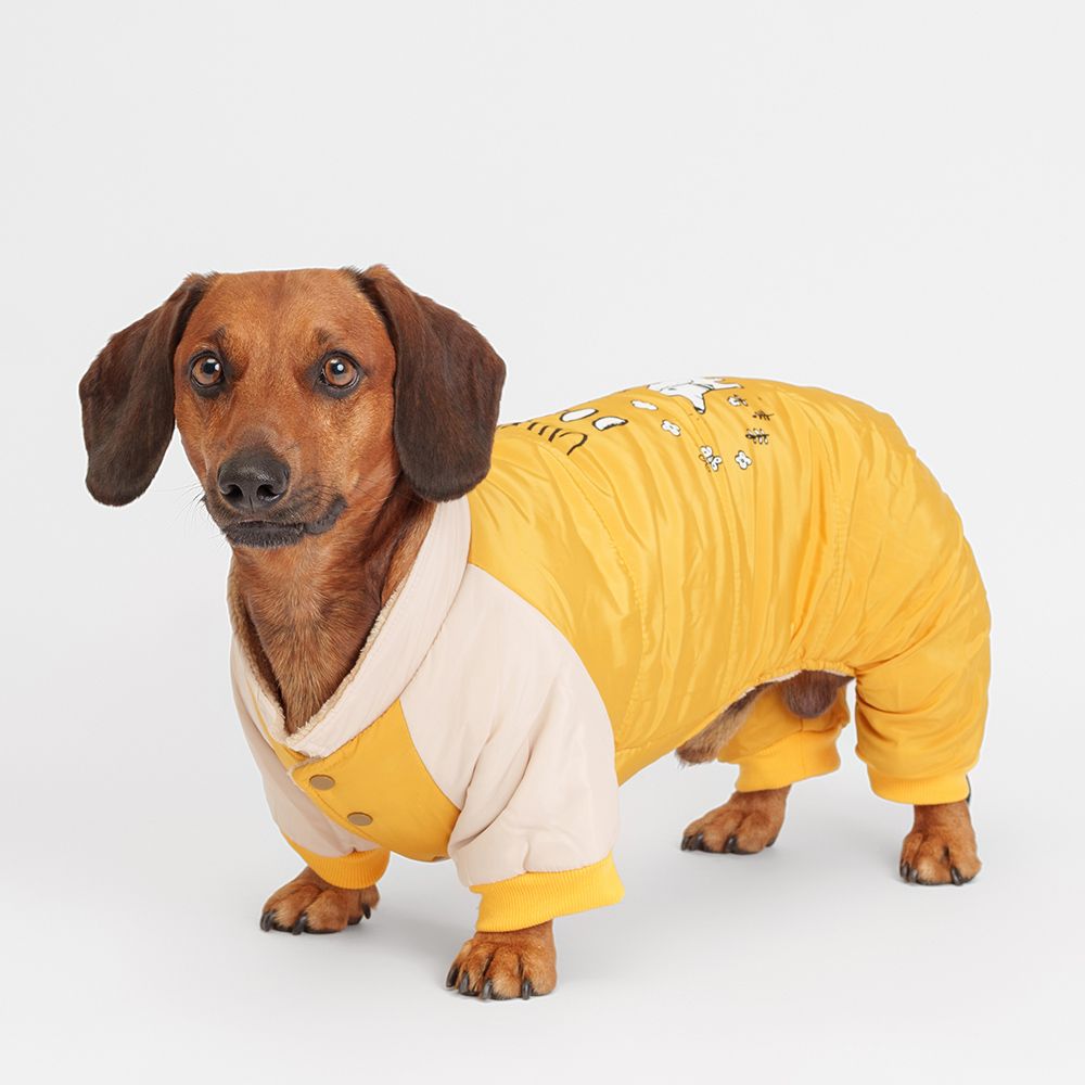 Petmax Комбинезон для собак, 2XL, желтый (мальчик)