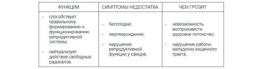 Как выбрать витамины для кошки