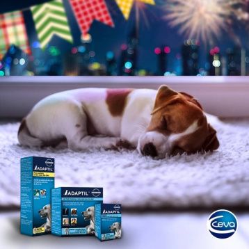 Ceva (Ceva Sante Animale) - товары бренда для кошек и собак