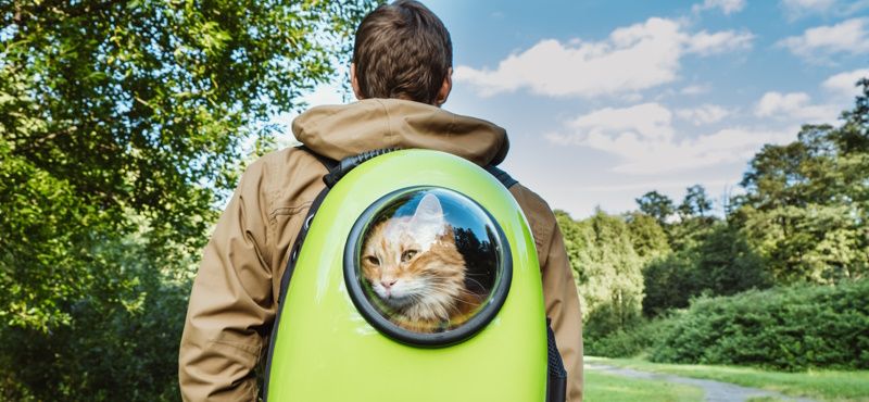 Выбираем рюкзак-переноску Выбираем рюкзак-переноску