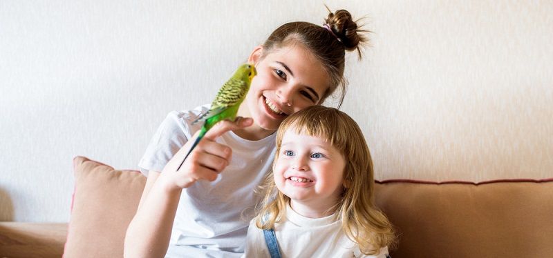 Какого попугая завести?