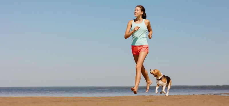 Как правильно бегать с собакой