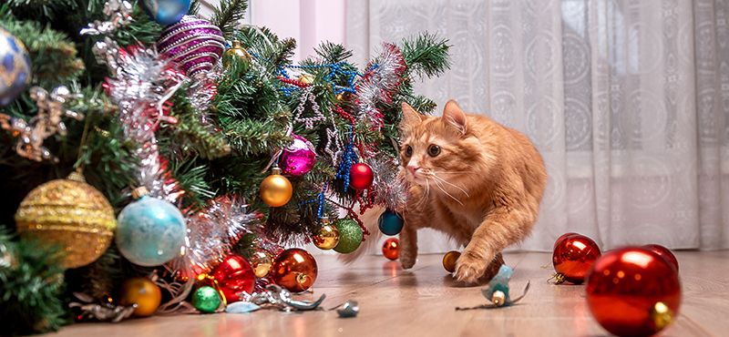 Осторожно, Новый год!