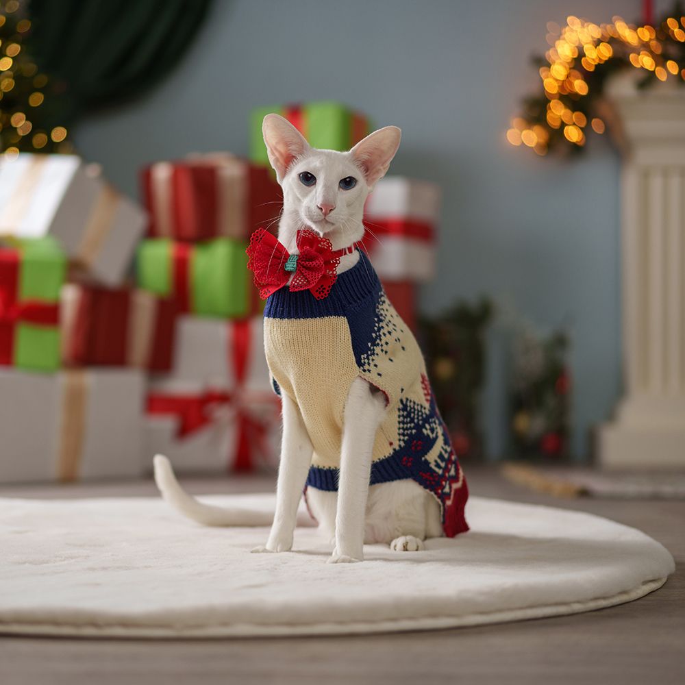 Боковой свет Боковой свет