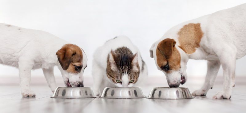 Функциональные преимущества линейки Ownat ULTRA 