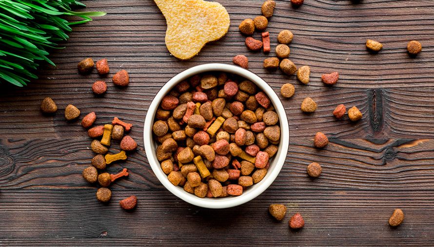 В чем преимущества готовых кормов?