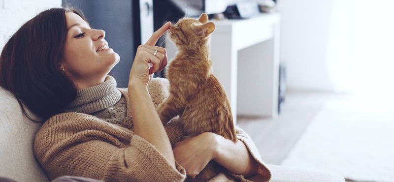 Какую породу кошки выбрать?