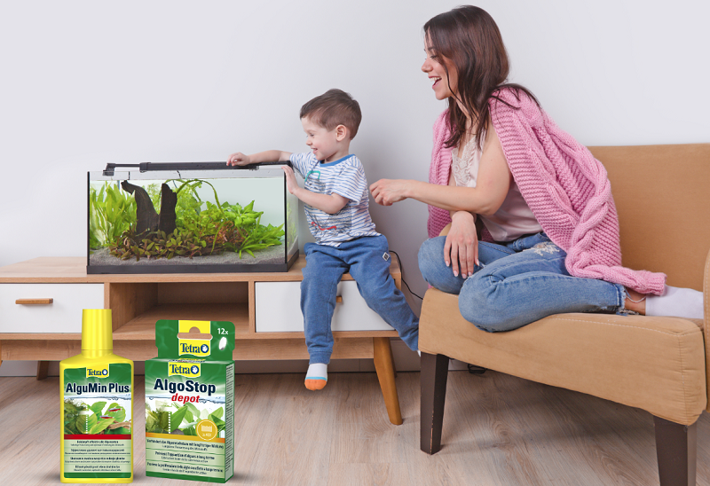 Как избавиться от водорослей в аквариуме?